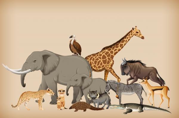 Image for event: Awesome Animals Kit (Ages 5-12)