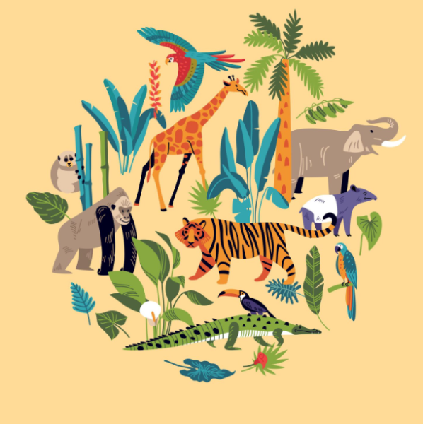 Image for event: Jungle Kits for Kids